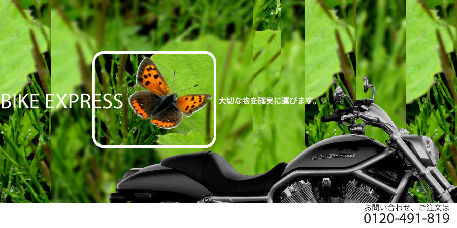 �o�C�N�փA�[�W�F���g�@�o�C�N���}�։摜